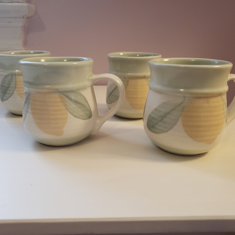 Set of 4 Pfaltzgraff Vera Cruz Mugs